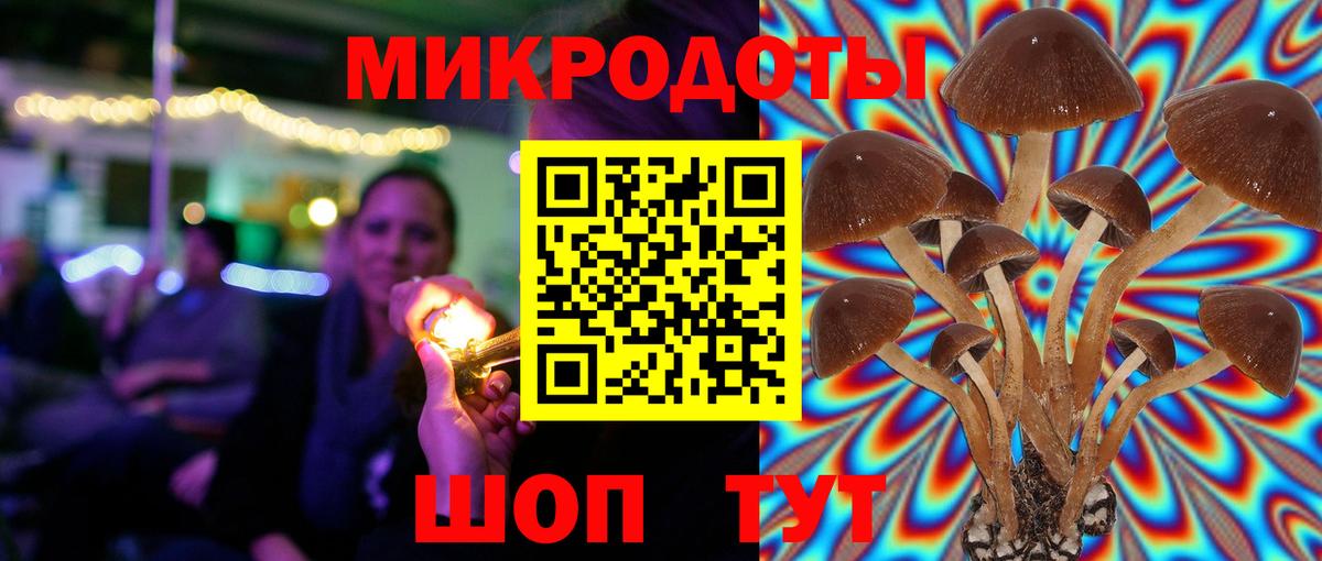 Галлюциногенные грибы ЛСД  Псилоцибиновые грибы ЛСД  Вход с VPN  Балтийск 